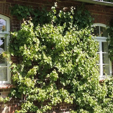 Pfarrhof Stuer Apartment Exterior photo